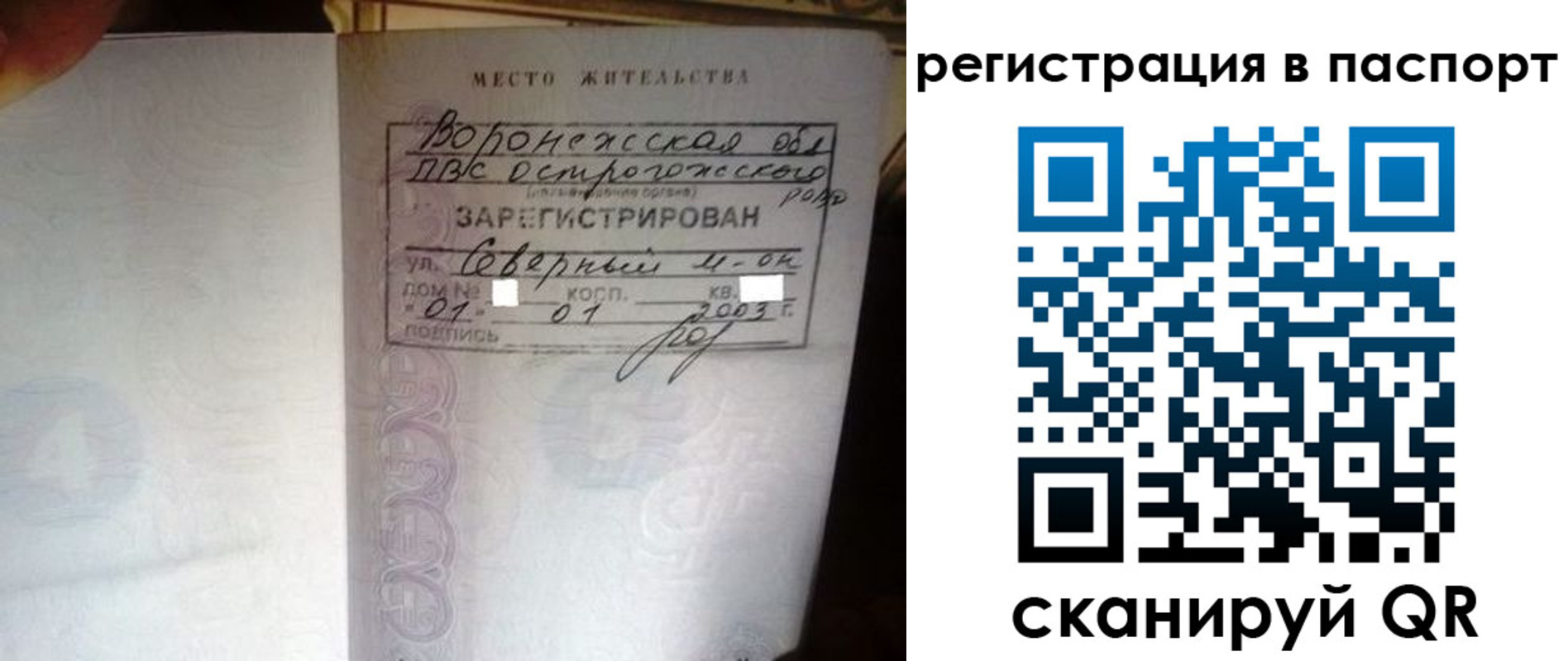 прописка для школы в Мурино